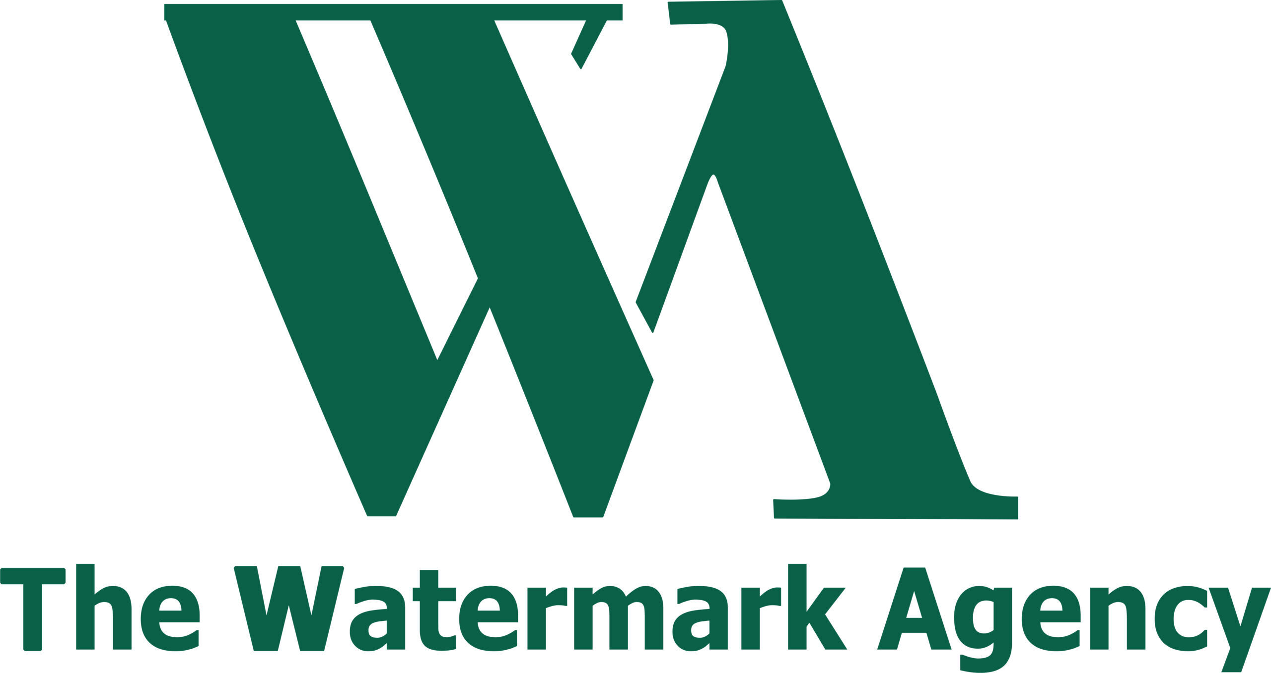 The Watermark Agency